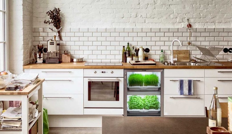 huerto inteligente cocina